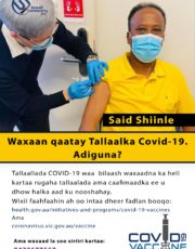 shiinle2